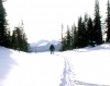 В Алтайском заповеднике проводятся зимние маршрутные учёты